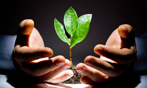 聯(lián)貝小編講講：食品商標如何注冊